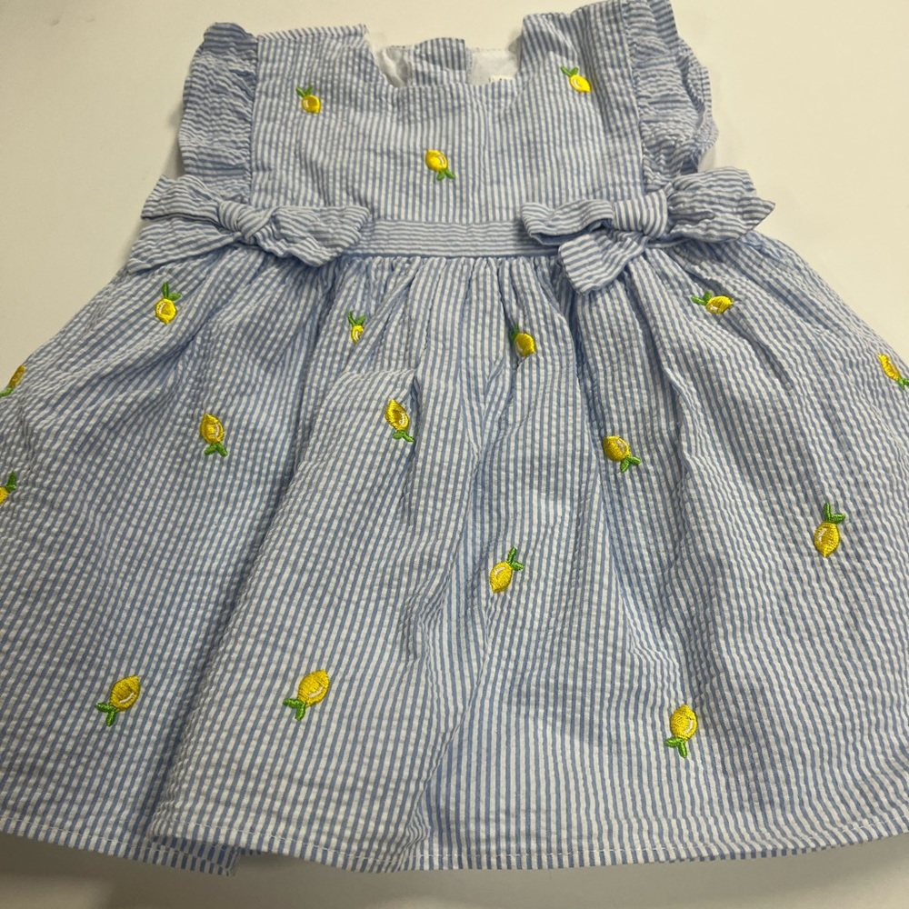 Blue Striped Dress with Lemon Embroidery